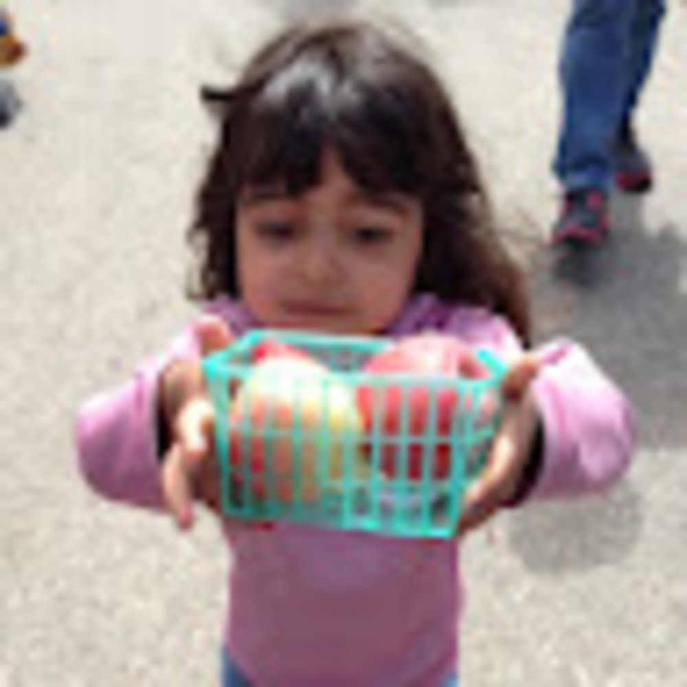 Meet your Posher, Nina